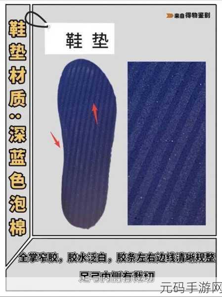 Zoom与牛性胶ZOOm区别:1. Zoom与牛性胶ZOOm:功能、用途及特点全面解析