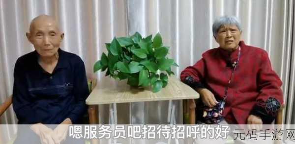 Cnⅰnese老女人老熟:1. 老女人的智慧:岁月教会我的生活哲理