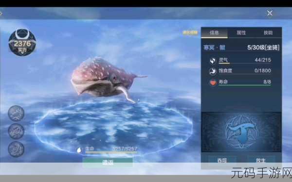 手游资讯,应对妄想山海鲲意外放生后的全面指南