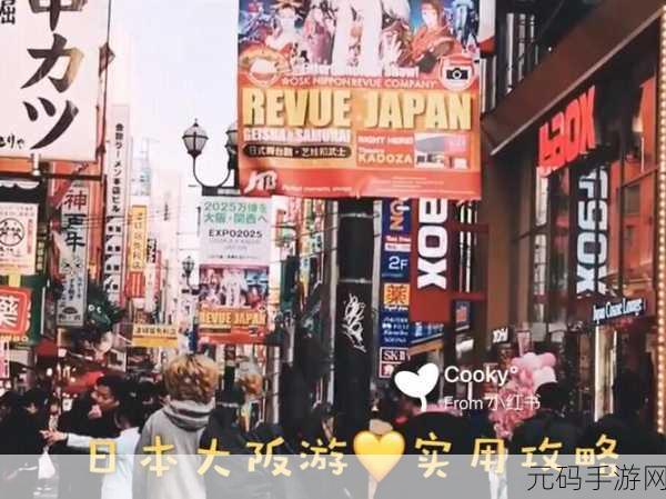 手游资讯,国航APP密码找回攻略,助力玩家畅游无阻