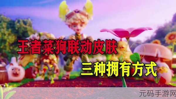 王者荣耀新天幕菜狗惊艳登场，独家揭秘获取秘籍