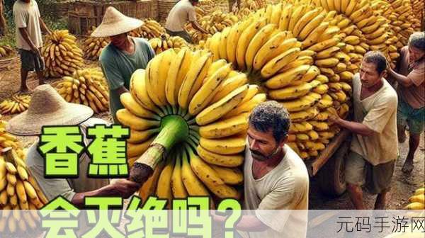 香蕉视频h:1. 香蕉视频:探索更多精彩内容的无限可能