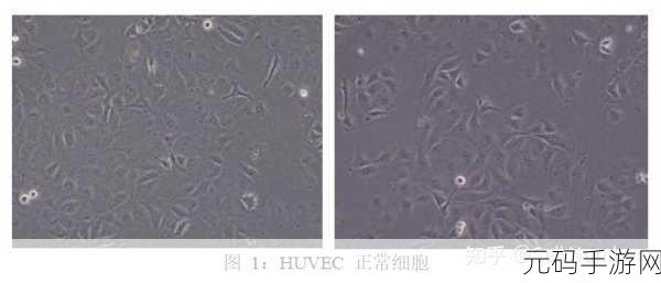 八挂海Abw实验4痉挛口吐白沫:1. 探索八挂海Abw实验的神秘痉挛现象