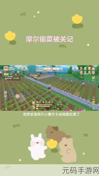 摩尔庄园手游龙虾获取全攻略，解锁海洋美食的秘密