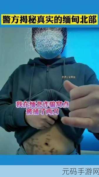 缅甸北部血腥网站进入方式:关于缅甸北部血腥网站的访问方法深入探讨