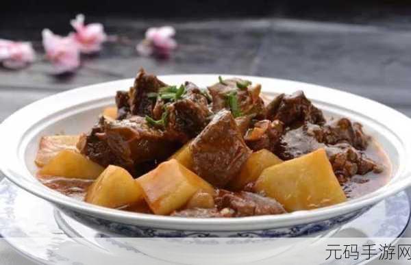 独家秘籍,幻塔土豆炖肉的完美制作攻略