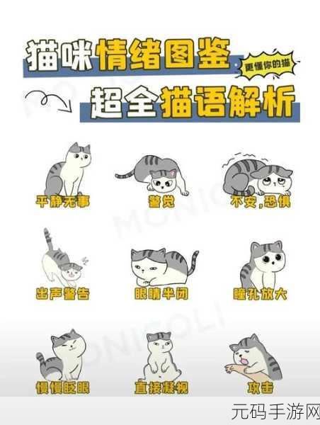 猫之城,解锁情绪罐头的神奇用法