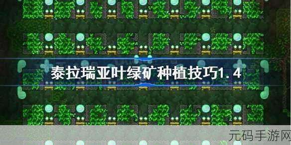 泰拉瑞亚手游资讯,斧钻与叶绿矿的神秘关系及种植秘籍全解