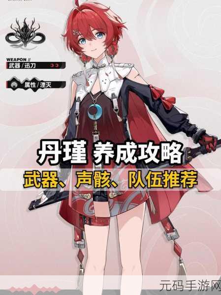 鸣潮手游丹瑾培养必备材料大揭秘