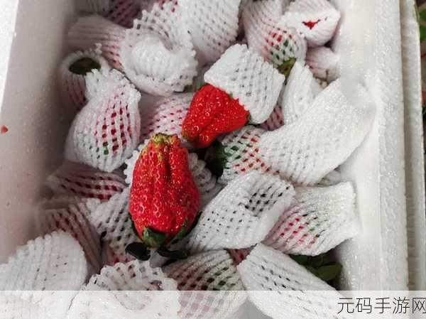 草莓A8视频:1. 草莓A8视频:探索鲜艳果实背后的秘密
