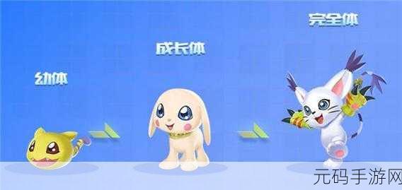 QQ飞车手游宠物加速度揭秘与实战技巧深度解析
