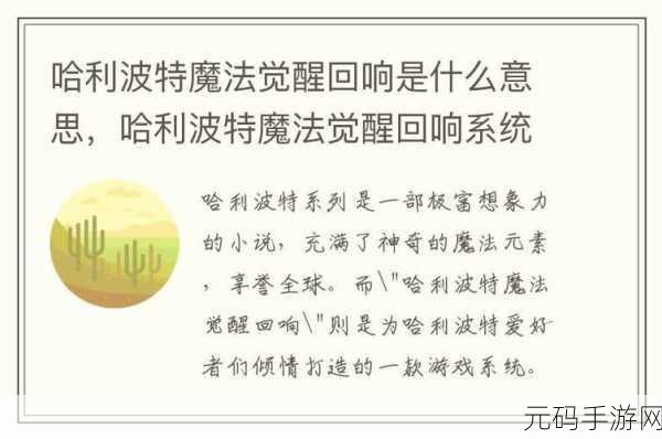哈利波特,魔法觉醒回响功能深度解析