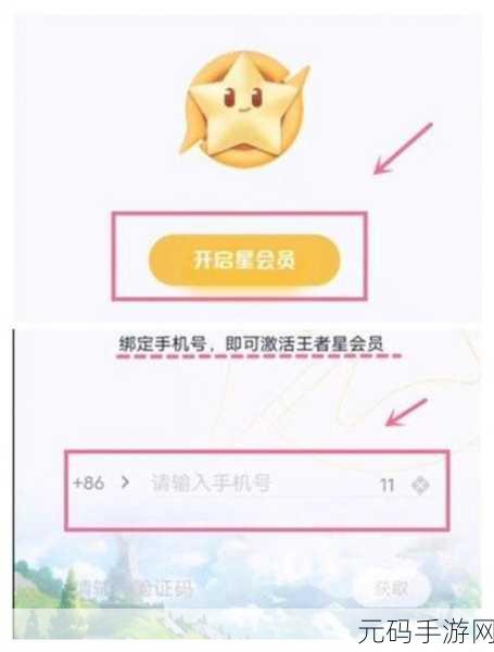 王者荣耀星会员,全方位使用秘籍大公开
