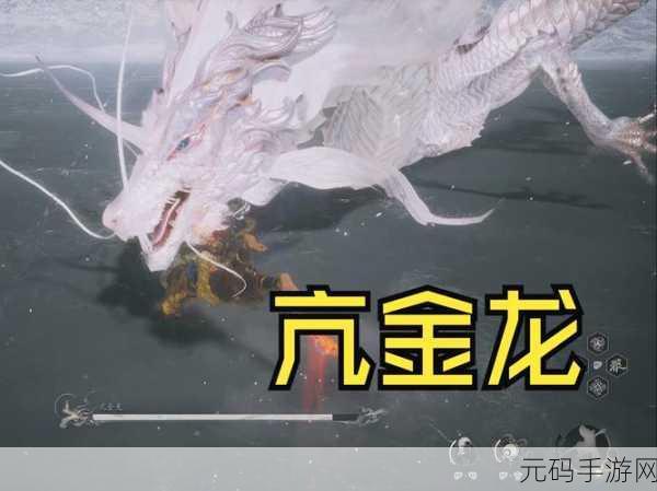 手游资讯,探索黑神话,悟空亢金龙奖励揭秘