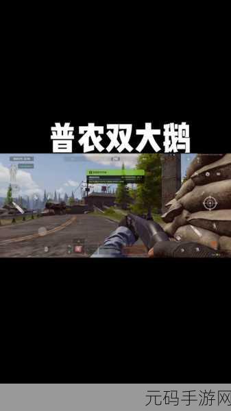 暗区突围,揭秘大鹅神秘位置,探索未知暗区新篇章