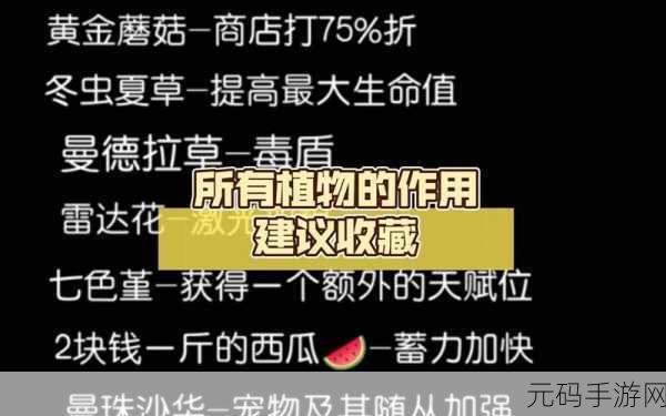 元气骑士,天赋植物获取秘籍与深度玩法攻略