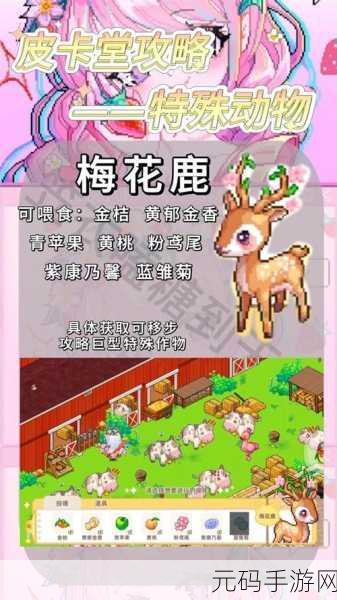 皮卡堂之梦想起源，终极食谱秘籍大公开