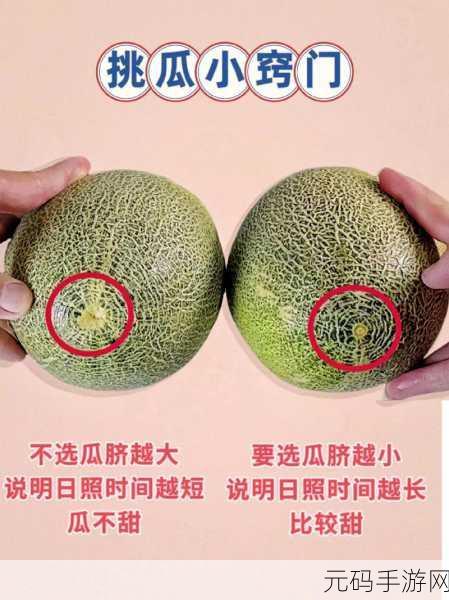 17c吃瓜爆料-免费吃瓜不打烊:1. 免费吃瓜不打烊,17c带你畅享瓜事盛宴!