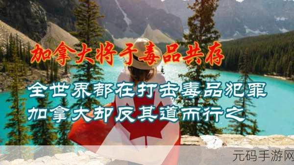 亚洲人成77777A:1. 亚洲人文化的多样性与共存之道