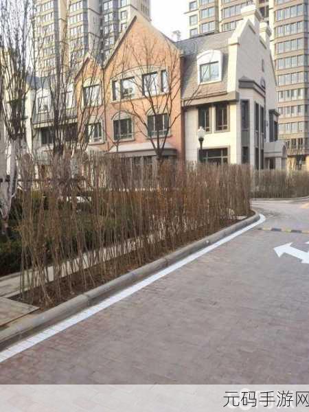 麻豆精产国品一二三区别网站:1. 探索麻豆精产国品一二三区的独特魅力