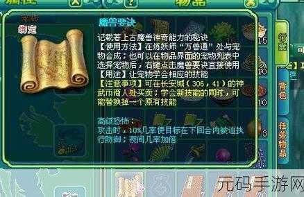 神武2手游宠物攻略,深度解析反制剑气和速法宝宝