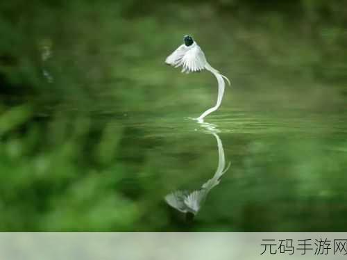 仙踪林corporation：1. 仙踪林：探索自然与科技融合的新境界
