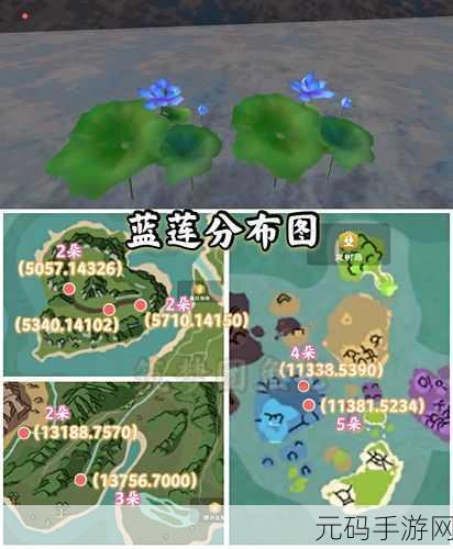 2021 年必知!创造与魔法蓝莲刷新位置全揭秘