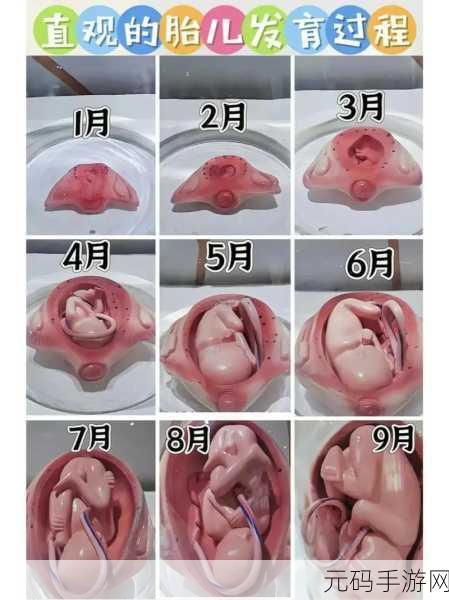 男生女生努力生孩子:1. 男生女生共同努力,迎接新生命的奇迹