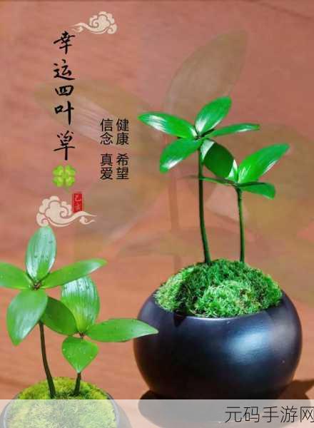 四叶草秘密基地:1. 四叶草秘密基地:探索神秘与奇妙的冒险之旅