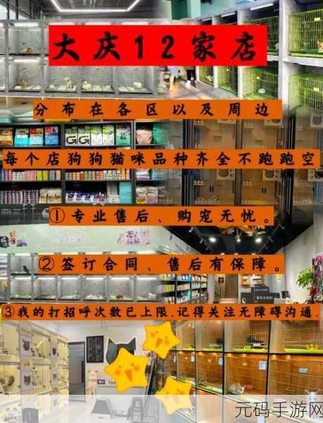 交易猫平台个人上架物品查看指南,一站式解析