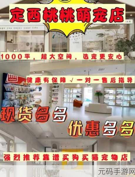 交易猫平台个人上架物品查看指南,一站式解析