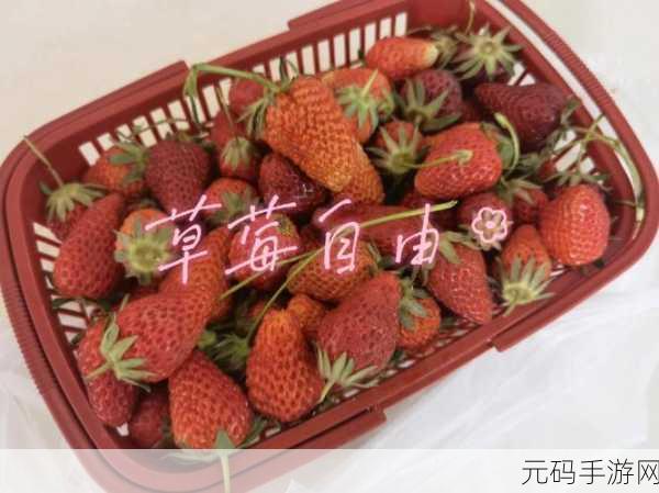 草莓视频366:1. 草莓视频366:探索未知的视觉盛宴