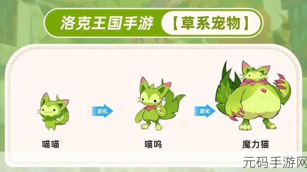 洛克王国珍稀宠物捕获秘籍，地点与时间大揭秘