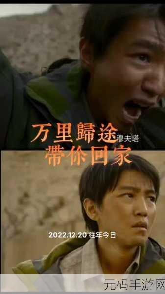 老公生日3q花落归途:1.在爱与时间的交织中,寻找幸福归途