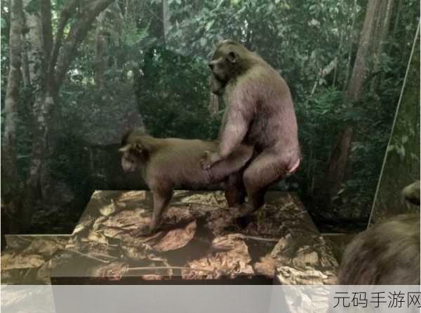 二人生猴子全程不盖被子:1. 猴子出世:两人的温情与无奈