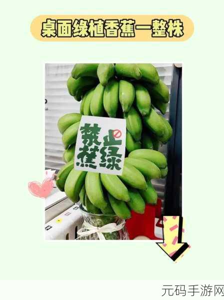 香蕉app：1. 香蕉APP：你的健康生活助手，随时掌控营养！