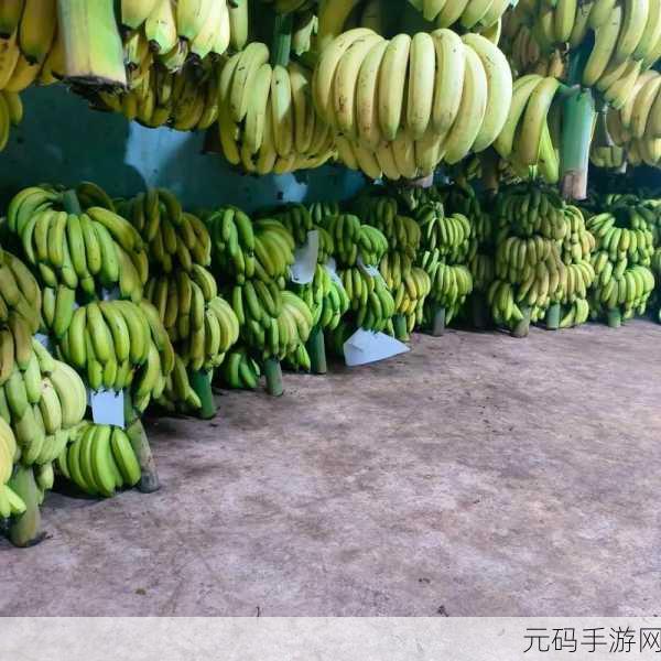 香蕉视频下载地址链接:1. 免费畅享香蕉视频,下载链接助你一臂之力