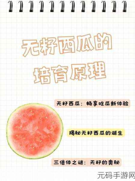 51cgfun今日吃瓜必吃防:1. "今日吃瓜指南:不可错过的防拓展秘笈