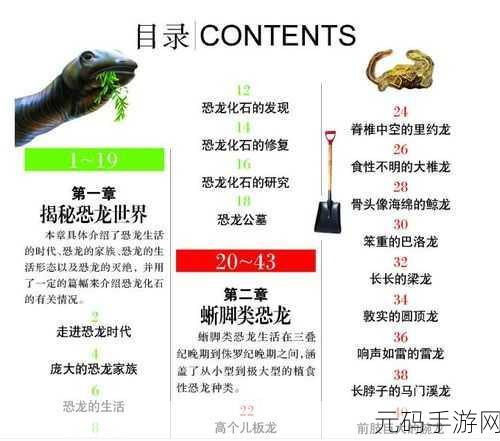 重返帝国,全方位玩法秘籍大揭秘