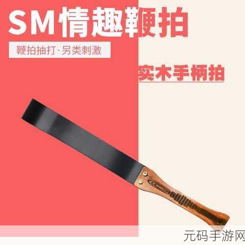 金牌惩戒师SP实验:1. 《金牌惩戒师SP实验:探索教育新模式与成效