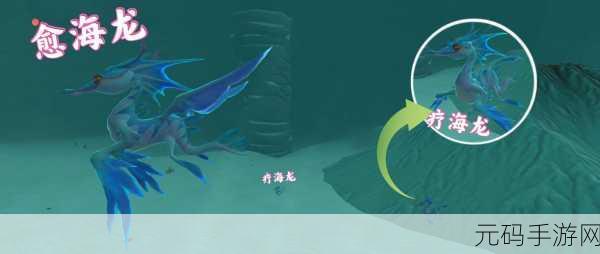 樱树岭鱼类分布全解析，探索创造与魔法中的神秘水域