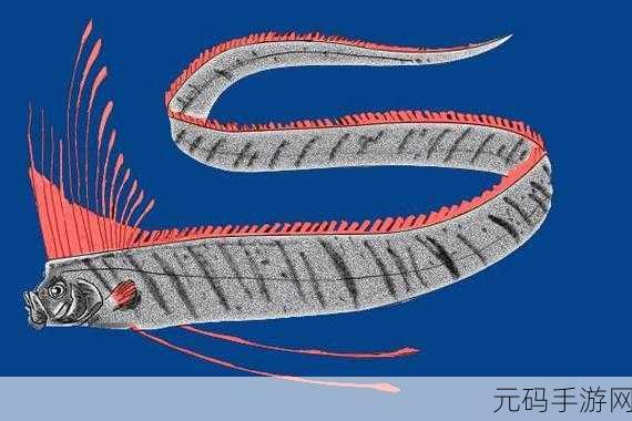 樱树岭鱼类分布全解析，探索创造与魔法中的神秘水域