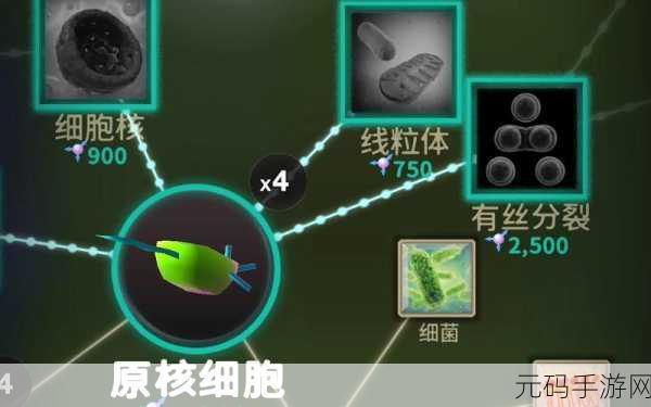 从细胞到奇点，进化奇迹的无尽延续