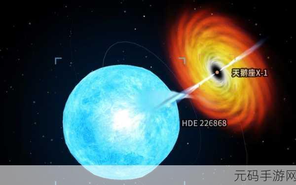 从细胞到奇点，进化奇迹的无尽延续