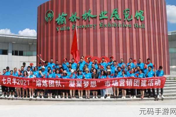 欧洲vodafone喷浆俄罗斯:欧洲Vodafone在俄罗斯市场拓展新战略,推动业务增长