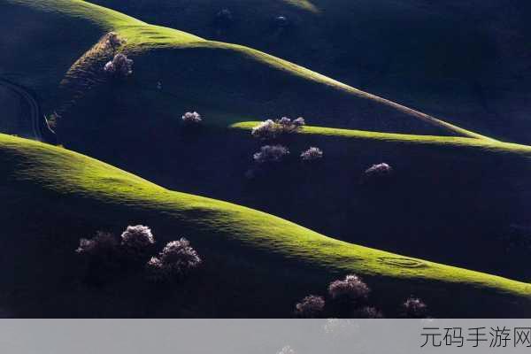 伊犁园20233秒转入:1. 伊犁园2023精彩瞬间回顾与拓展探索
