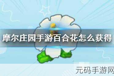摩尔庄园手游,百合花获取秘籍大揭秘