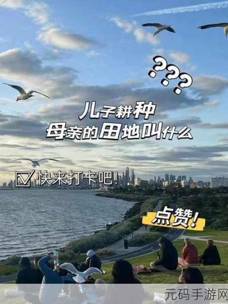 儿子耕种母亲的田地叫什么名字:1. "儿子耕种母亲田地的故事与启示