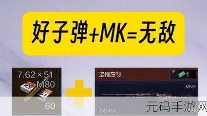 暗区突围,子弹抉择秘籍,制敌关键指南