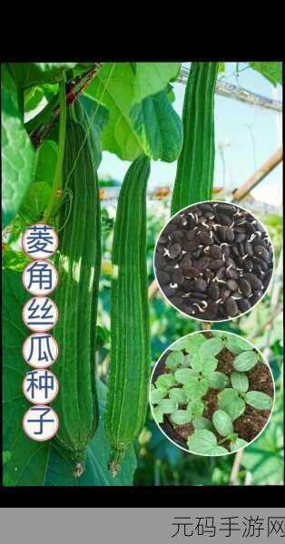 种子搜:当然可以!请提供一个种子标题,我将根据它拓展出新的标题。